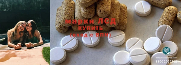 крисы Абаза